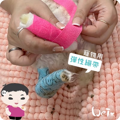 (包紮) 寵物可愛裹腳布-彈性繃帶 自黏繃帶17