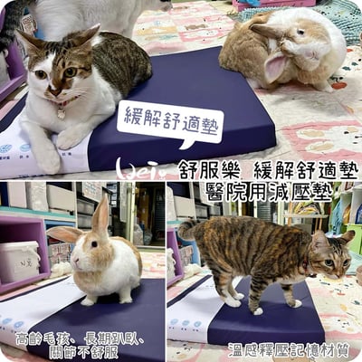 舒服樂 狗狗趴緩解舒適墊/寵物減壓墊 (高齡毛孩、癱瘓、關節行動不便)1