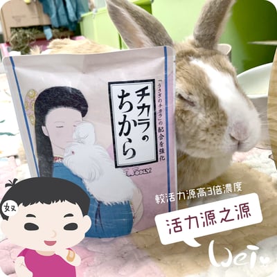 WOOLY 活力源之源8