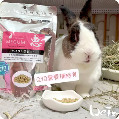 日本 HI-PET 惠 Q10 營養補給食 (MEGUMI)7