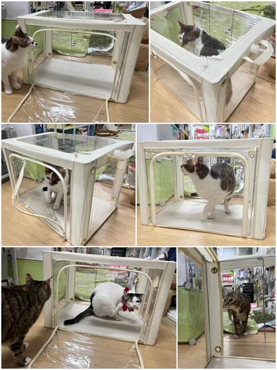 110L折疊全透明寵物氧氣箱-吸氧箱/噴霧箱/霧化箱(限宅配or板橋自取)22