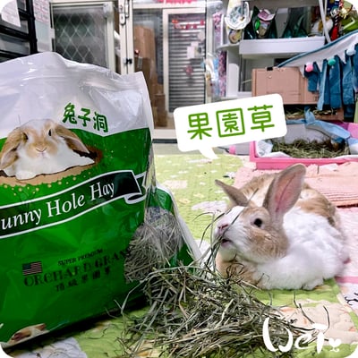 美國Rabbit Hole Hay兔子洞 果園草3