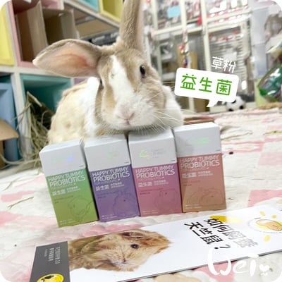 好可愛星球Lovely Planet天竺鼠益生菌 1組/4口味1