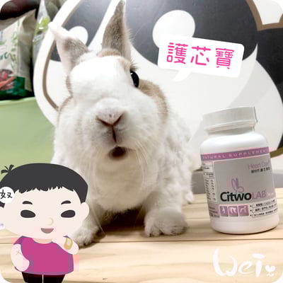 CI兔 Citwo LAB 護芯寶2