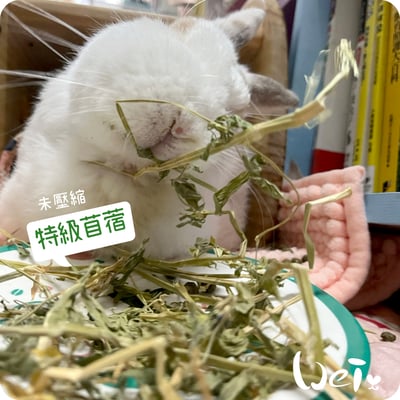 摩米MOMI 農夫皇牌特選苜蓿草8