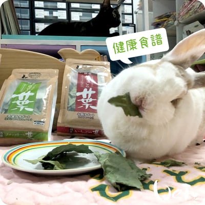 GEX健康食譜 草莓葉4