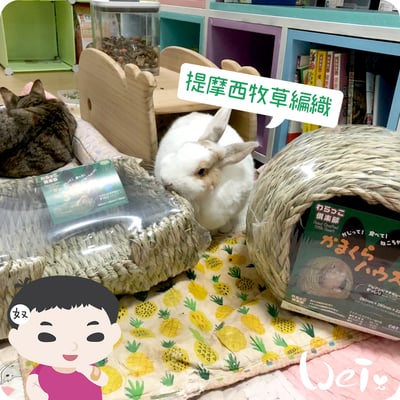 日本KAWAI 提摩西 兔子沙發臥榻L12