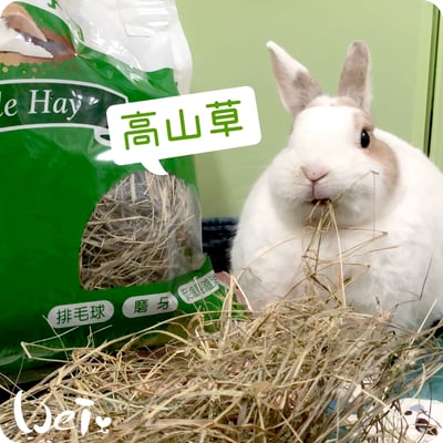 美國Rabbit Hole Hay兔子洞 高山草9