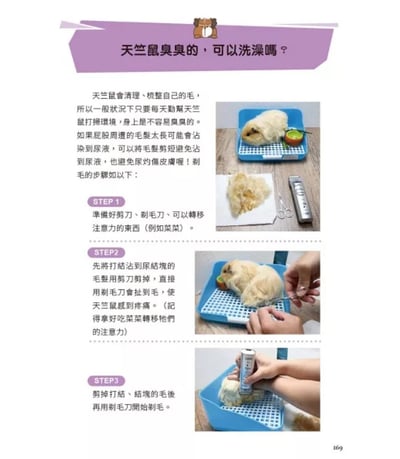 《書》快樂天竺鼠完全飼育指南：從飼養方法到照護指引，最完整的全方位圖解小百科6