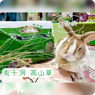 美國Rabbit Hole Hay兔子洞 高山草1