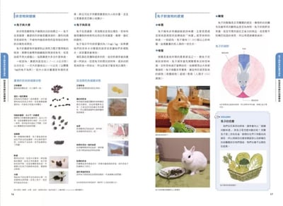 《書》兔兔喜歡吃什麼？兔子的飲食與營養百科  新版 よくわかるウサギの食事と栄養4