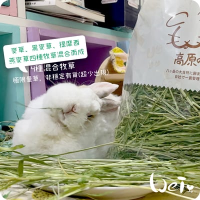 WOOLY高原的混合牧草(四種混合草)(本次貨櫃未到)21