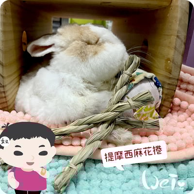 OXBOW提摩西麻花捲7