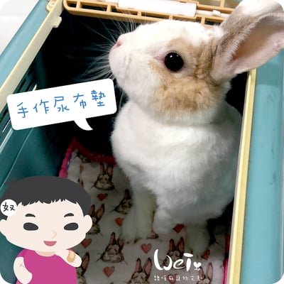 手作 - 多功能寵物吸尿床墊 / 尿布墊 / 隔尿墊6