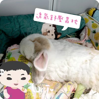 手作 - 我就靠你了! 透氣舒壓靠枕/枕頭6