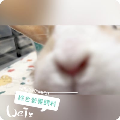 WOOLY FORMULA綜合營養飼料8