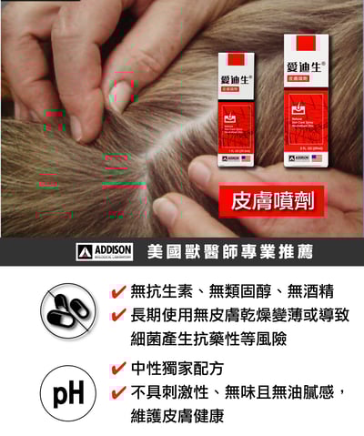 ADDISON美國愛迪生 皮膚噴劑3