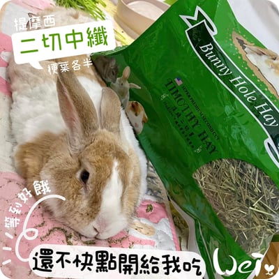 美國Rabbit Hole Hay兔子洞 二切Medium中纖提摩西2