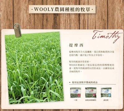 WOOLY高原的早摘提摩西幼割 (本次貨櫃未到)2