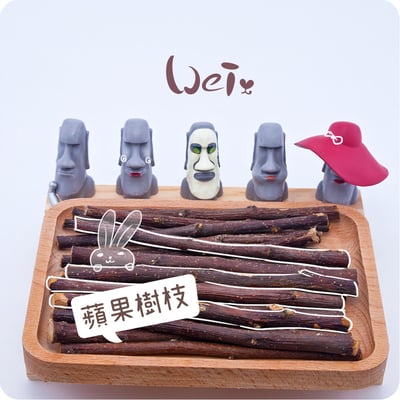 蘋果小樹枝 單根3