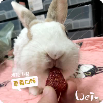 摩米MOMI 水果凍乾6