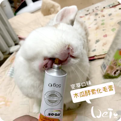 德國竣寶GIMBORN 兔用麥芽木瓜酵素化毛膏4