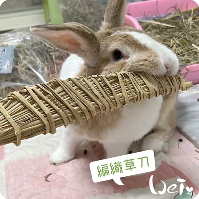 台灣草刀 (嘉義農夫純手工編織)9