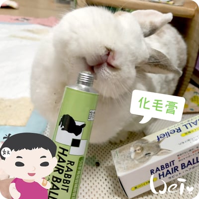 日本Sanko 愛兔化毛膏3