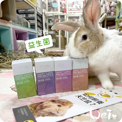 好可愛星球Lovely Planet天竺鼠益生菌 原味16