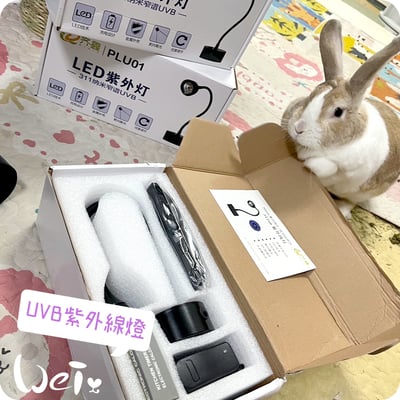 【新北板橋-租借】LED紫外線燈 311納米窄譜UVB燈 (陽光維生素D3) 老兔天竺鼠貓狗-說明8