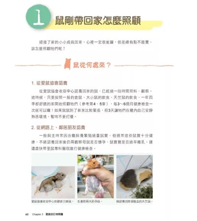《書》愛鼠飼育大百科：常見寵物鼠品種介紹與飼養相處方法全收錄！(愛鼠協會出版)6