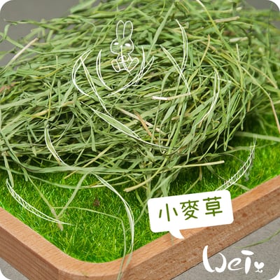 乾燥小麥草2