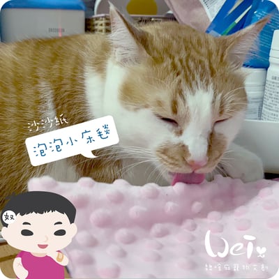 手作 - 泡泡小床毯 (沙沙響紙)18