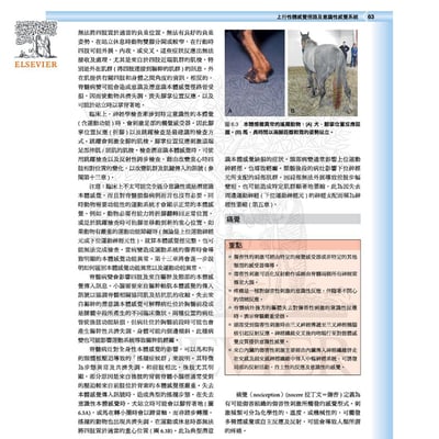 《書》獸醫臨床神經解剖學2