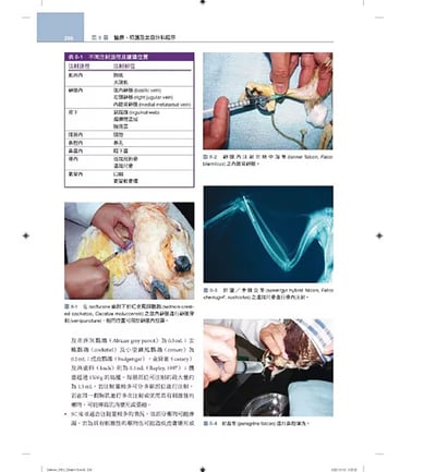 《書》禽鳥類醫學，第三版(現貨)13