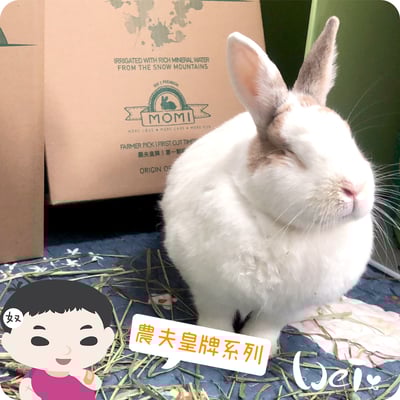 摩米MOMI 農夫皇牌 T1 一割提摩西7