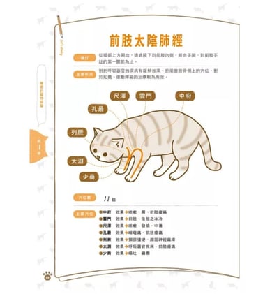 《書》貓咪經穴按摩：治癒你、治癒牠的預防保健必備指南4