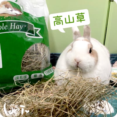 美國Rabbit Hole Hay兔子洞 高山草3