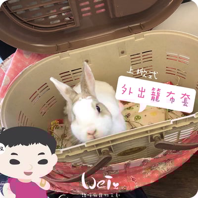 手作 - 上掀式外出籠布套、防風罩/提籠提籃-日本IRIS、MARUKAN (不含外出籠)4