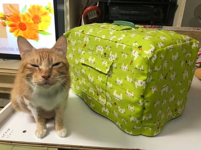 手作 - 外出籠套 防風罩 (透氣棉布款)5