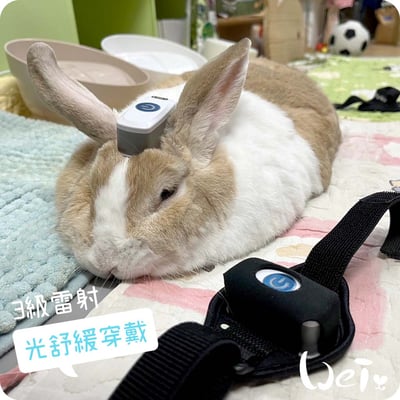 舒服樂 光舒緩穿戴 / 寵物居家三級雷射6