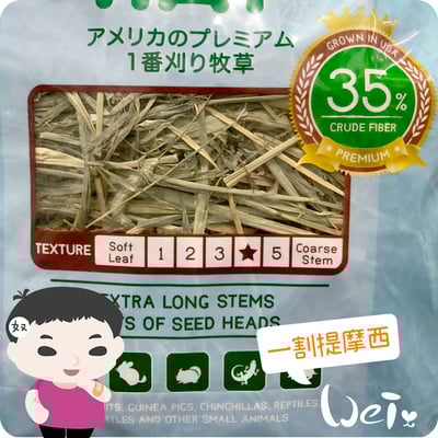 摩米MOMI T1 一割經典提摩西3