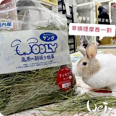 WOOLY高原的早摘提摩西一割(本次貨櫃未到)8