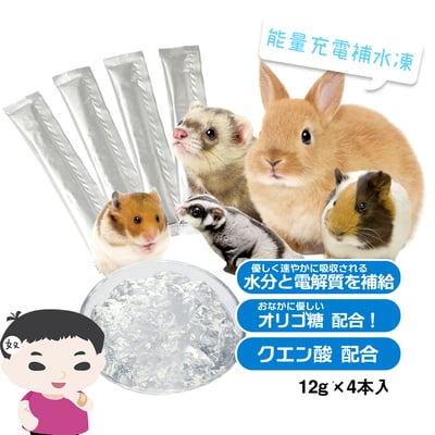 日本Sanko 能量充電補水凍2