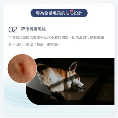 舒服樂 狗狗趴緩解舒適墊/寵物減壓墊 (高齡毛孩、癱瘓、關節行動不便)13