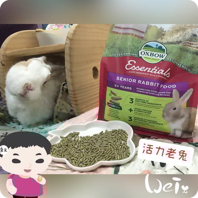 OXBOW活力老年兔維持肌力餐6