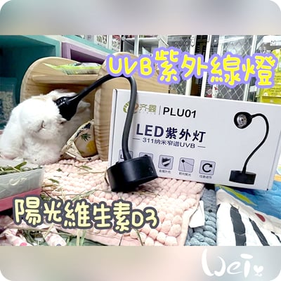 【新北板橋-租借】LED紫外線燈 311納米窄譜UVB燈 (陽光維生素D3) 老兔天竺鼠貓狗-說明2