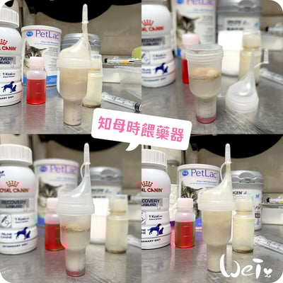 知母時餵藥器(擠壓式) /奶貓 / 兔子天竺鼠等寵物灌食泥狀食物(台灣製)4