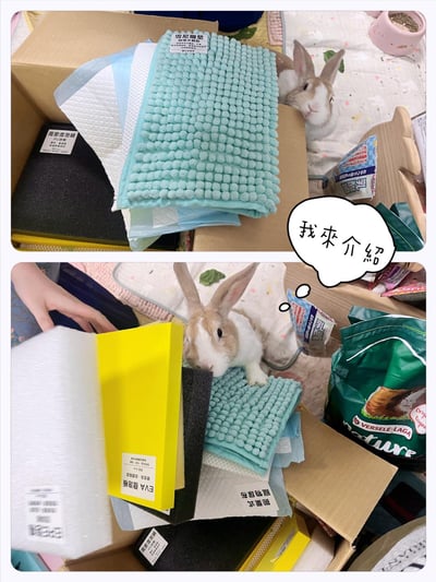 衛教區～常見的墊材介紹4