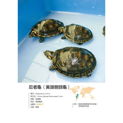 《書》烏龜飼育與圖鑑百科5